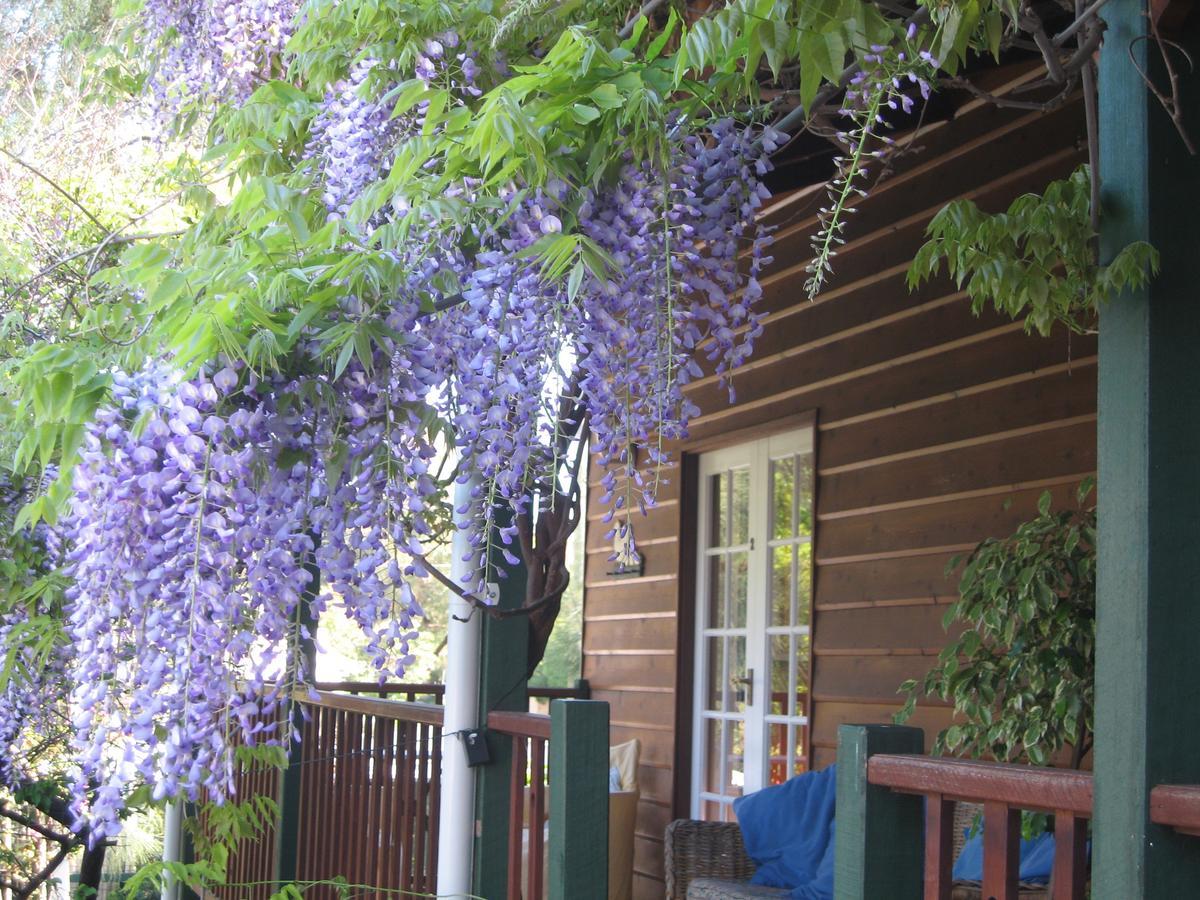 Rosemoore Bed & Breakfast Περθ Εξωτερικό φωτογραφία